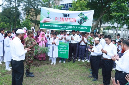 Tree Plantation