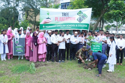 Tree Plantation
